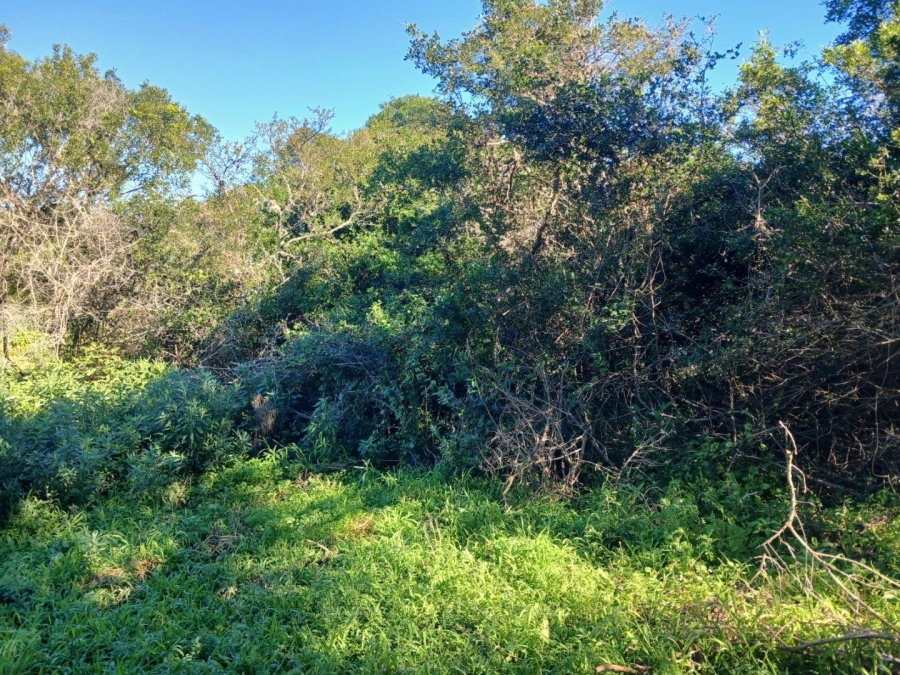0 Bedroom Property for Sale in Bathurst Eastern Cape